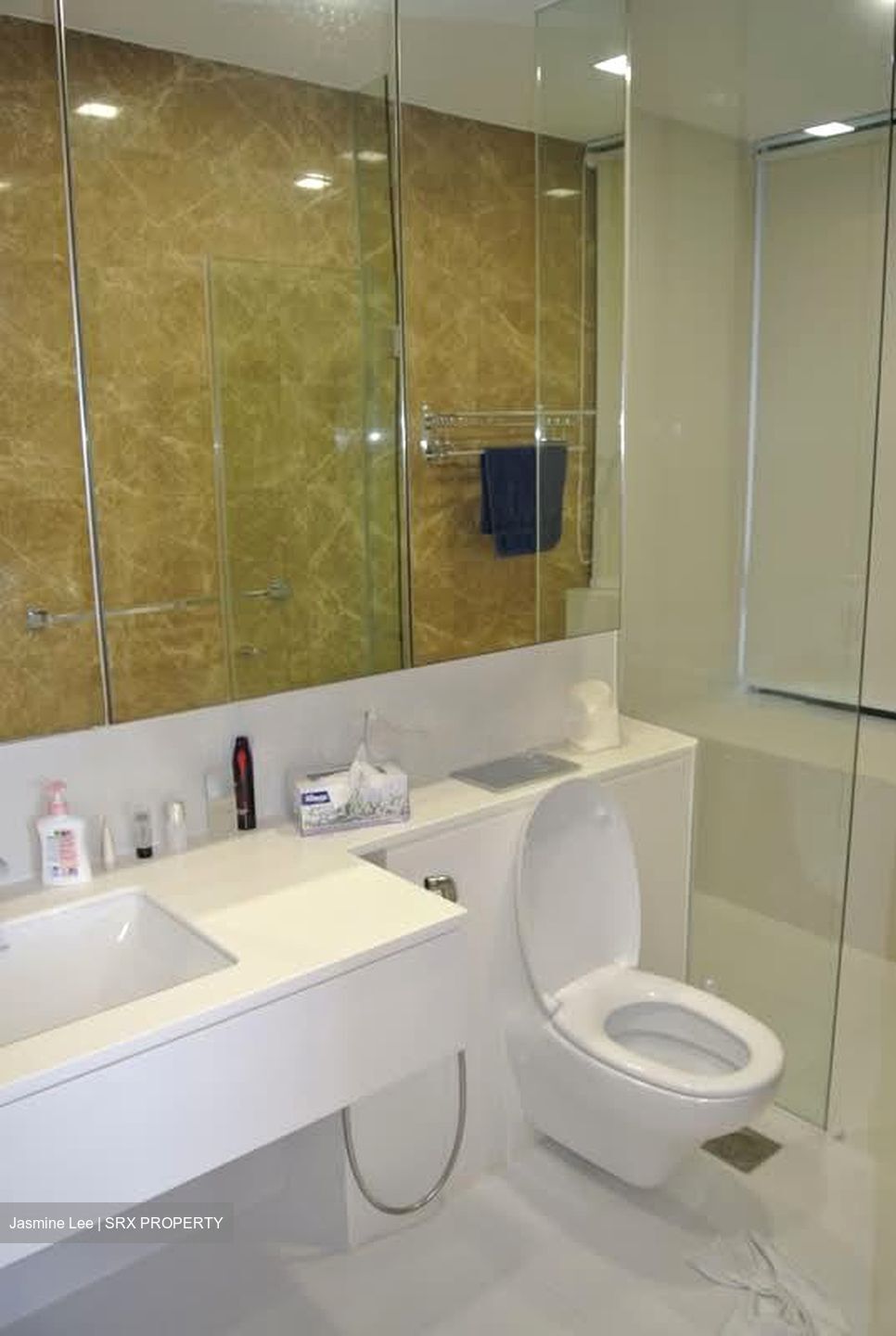 D'Leedon (D10), Condominium #546084131